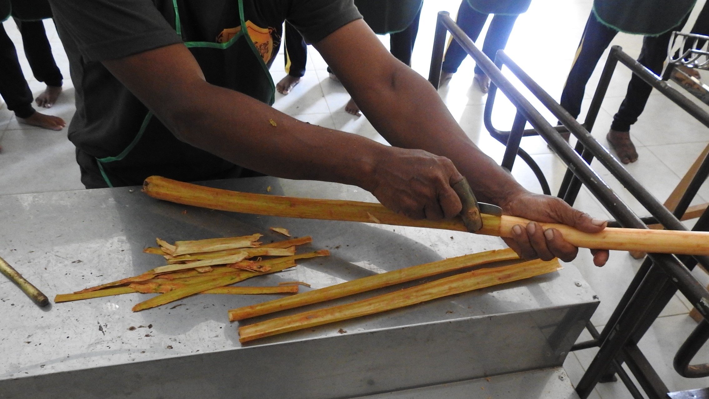 Boost For Sri Lanka S Cinnamon Producers As EU Agrees Protected   Cinnamon Peeling.JPG